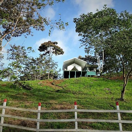 Finca Tres Equis - Farm And Forest Экстерьер фото