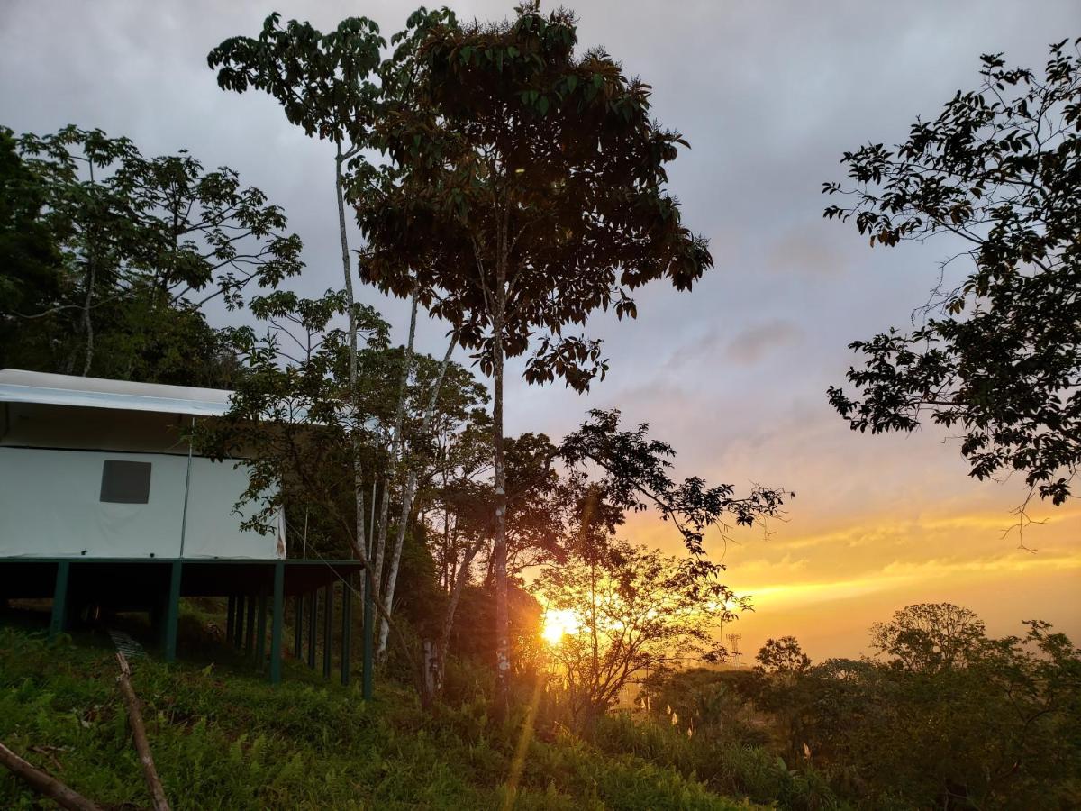 Finca Tres Equis - Farm And Forest Экстерьер фото