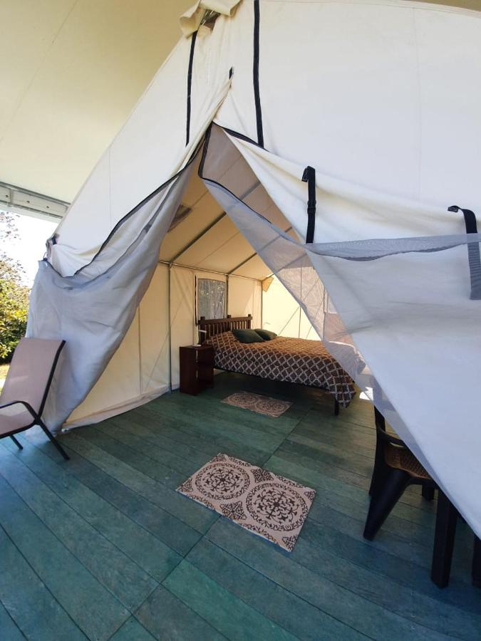 Finca Tres Equis - Farm And Forest Экстерьер фото
