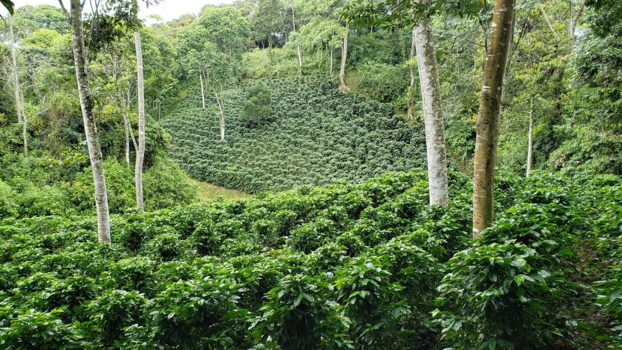 Finca Tres Equis - Farm And Forest Экстерьер фото
