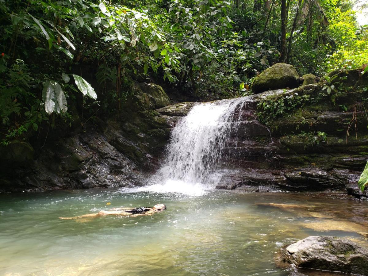 Finca Tres Equis - Farm And Forest Экстерьер фото