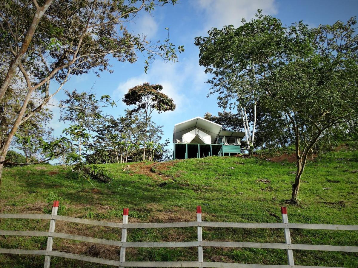 Finca Tres Equis - Farm And Forest Экстерьер фото