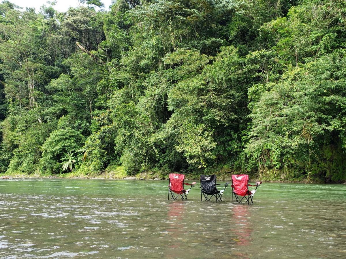 Finca Tres Equis - Farm And Forest Экстерьер фото