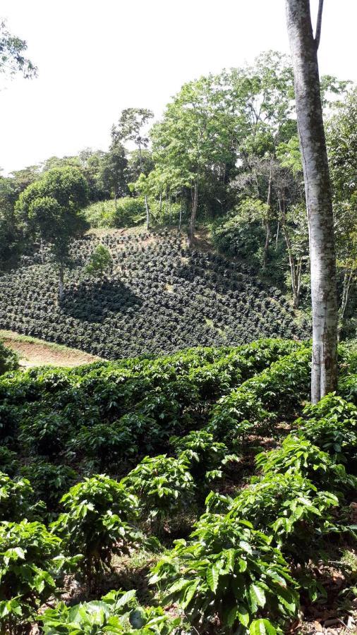 Finca Tres Equis - Farm And Forest Экстерьер фото