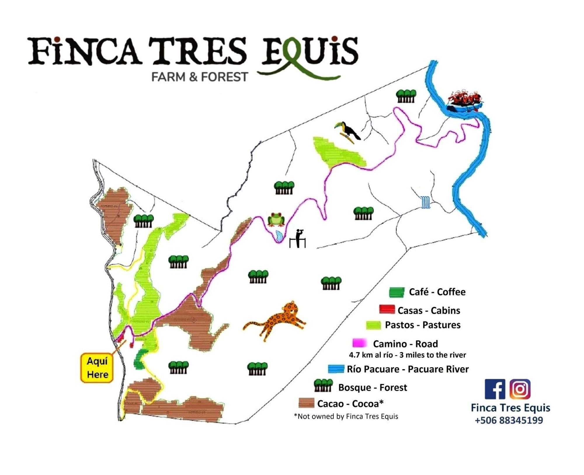 Finca Tres Equis - Farm And Forest Экстерьер фото