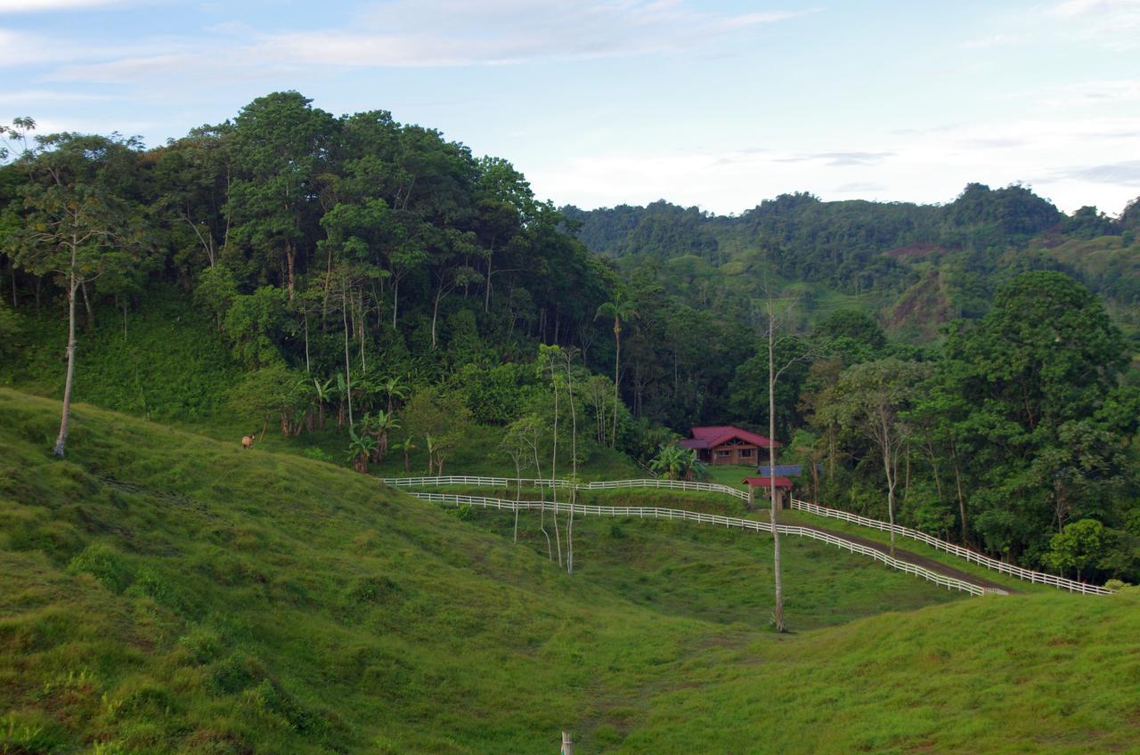 Finca Tres Equis - Farm And Forest Экстерьер фото