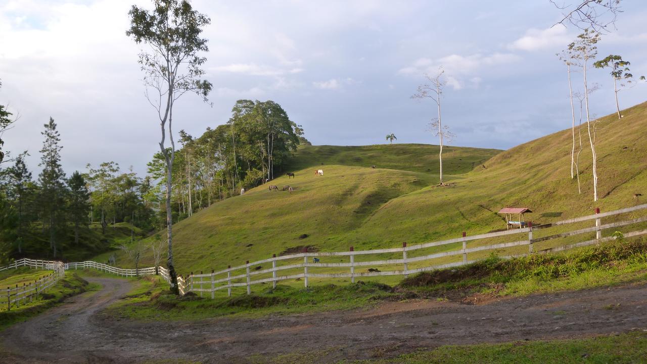 Finca Tres Equis - Farm And Forest Экстерьер фото