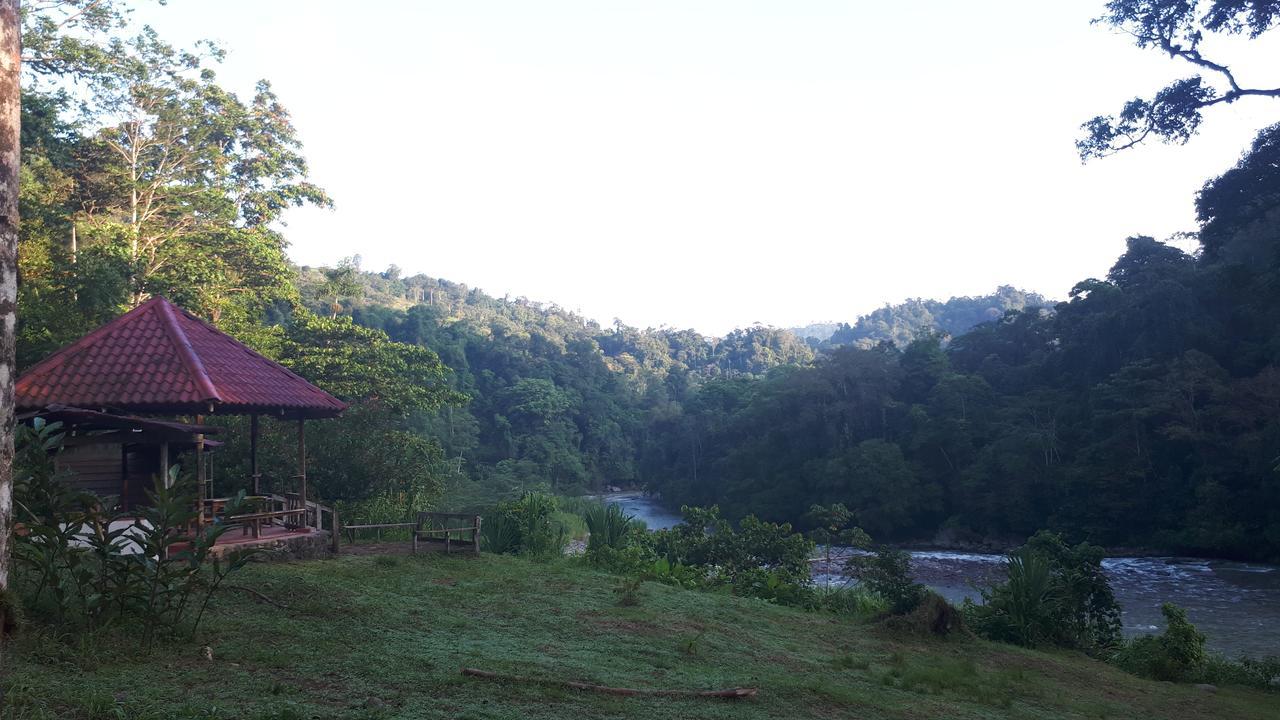 Finca Tres Equis - Farm And Forest Экстерьер фото
